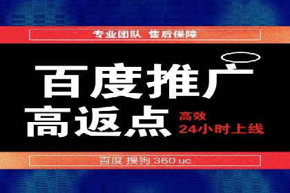 案例分享：SEM推广助力电商快速崛起